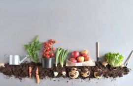 Органическое сельское хозяйство в Молдове - AgroExpert.md