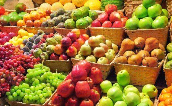 Производство фруктов и овощей в России - AgroExpert.md