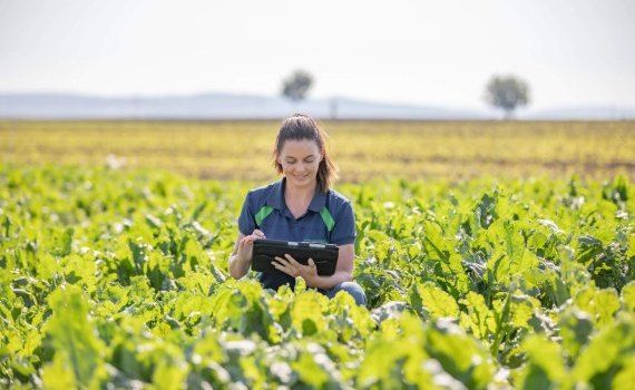 Locuri de muncă în agricultura Moldovei - AgroExpert.md