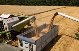 Recolta de grâu în Rusia - AgroExpert.md