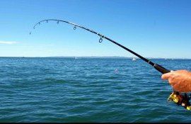 Pescuit sportiv în Moldova - AgroExpert.md