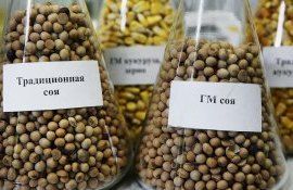 ГМО продукты в Молдове - AgroExpert.md
