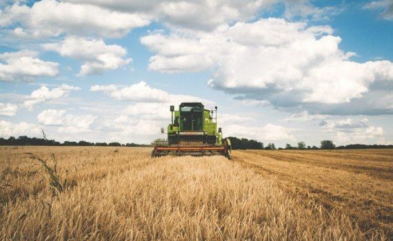Producția agricolă din Moldova - AgroExpert.md