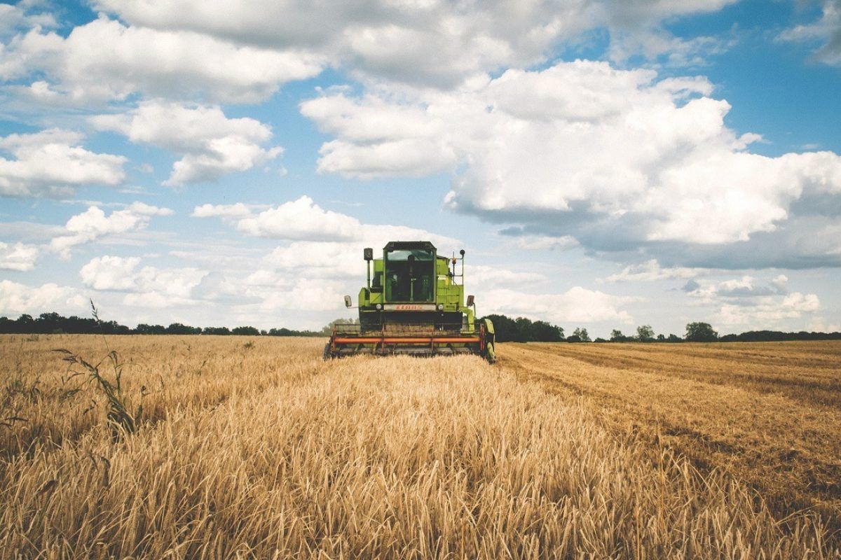 Producția agricolă din Moldova - AgroExpert.md