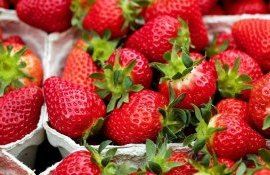 Цена на клубнику в Украине - AgroExpert.md