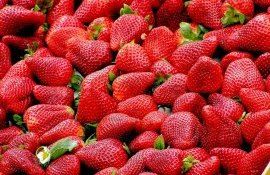 Высокая цена на клубнику в Молдове - AgroExpert.md