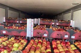 export mere - AgroExpert.md