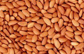 Урожай миндаля в Испании - AgroExpert.md