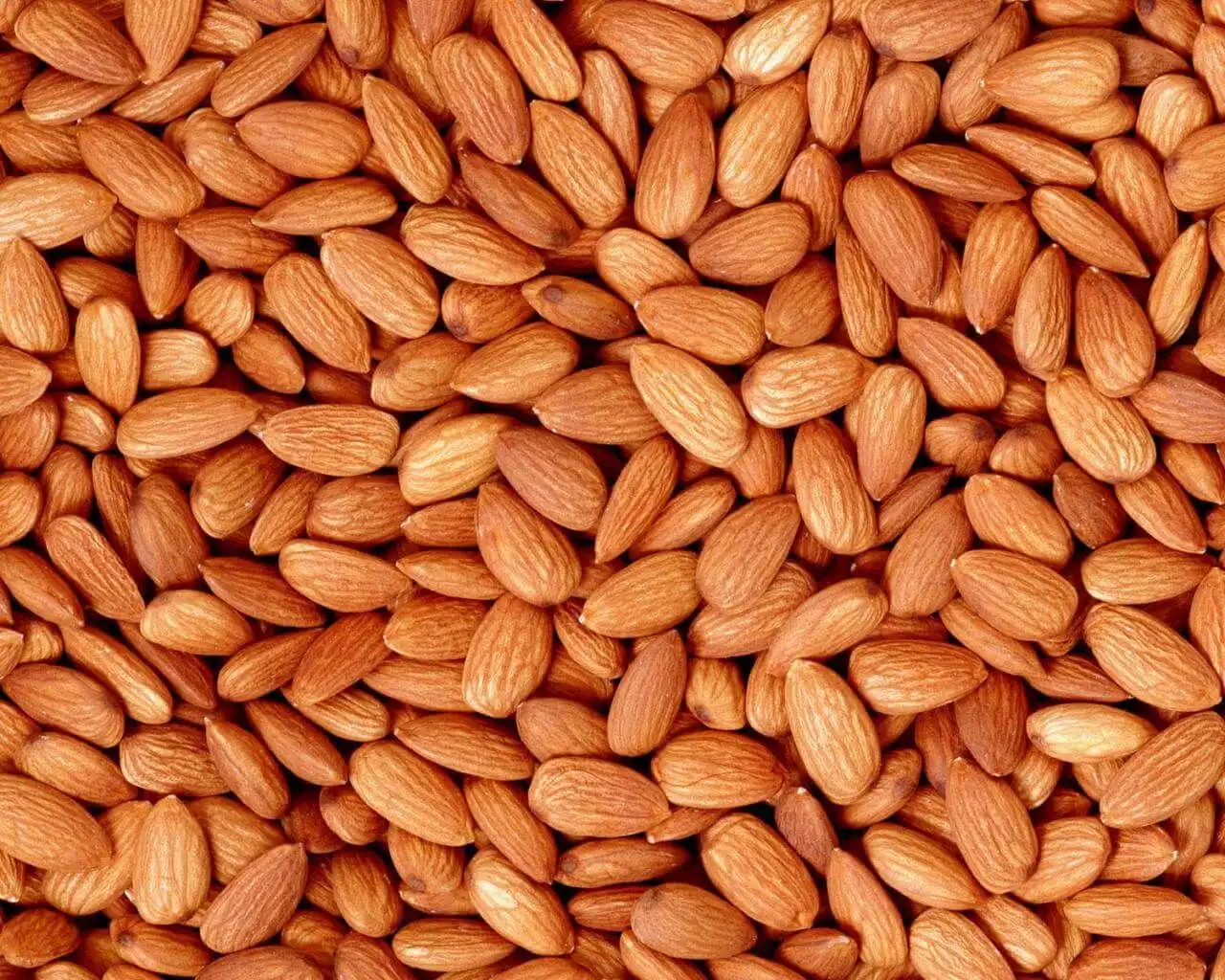 Урожай миндаля в Испании сократится на 50%