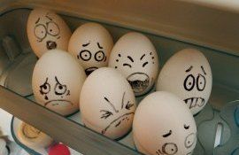 Цена на мясо и яйца - AgroExpert.md