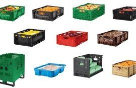 Cutii IFCO Moldova - AgroExpert.md