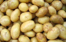 Цена на картофель в Молдове - AgroExpert.md