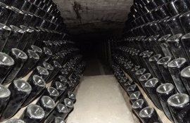 vin producție export-AgroExpert.md