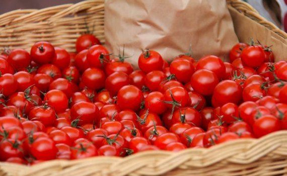 Цена на томаты - AgroExpert.md