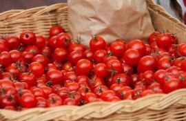 Цена на томаты - AgroExpert.md