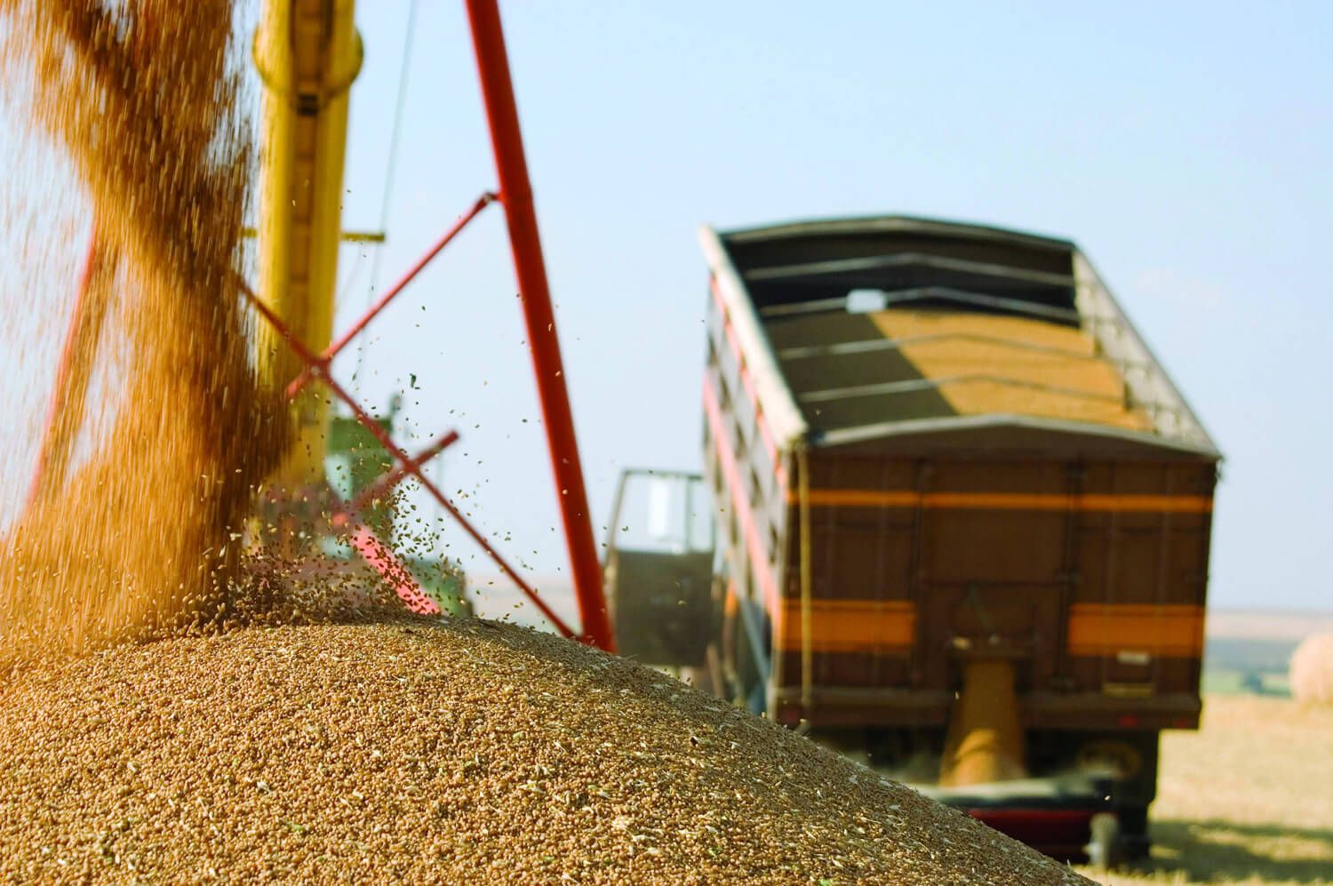 Перевозка зерна Украина - AgroExpert.md