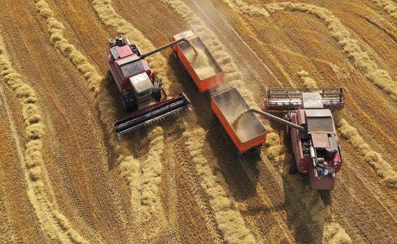 Рекордный урожай пшеницы в России - AgroExpert.md