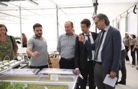 Seră hidroponica în Moldova - AgroExpert.md