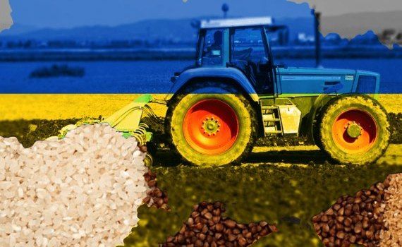 Războiul afectează agricultura Ucrainei - AgroExpert.md