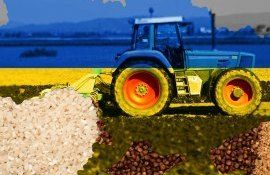 Războiul afectează agricultura Ucrainei - AgroExpert.md