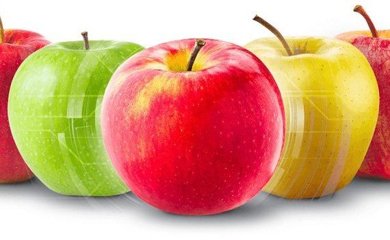 Калибровка яблок - AgroExpert.md
