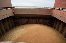 Экспорт украинского зерна - AgroExpert.md