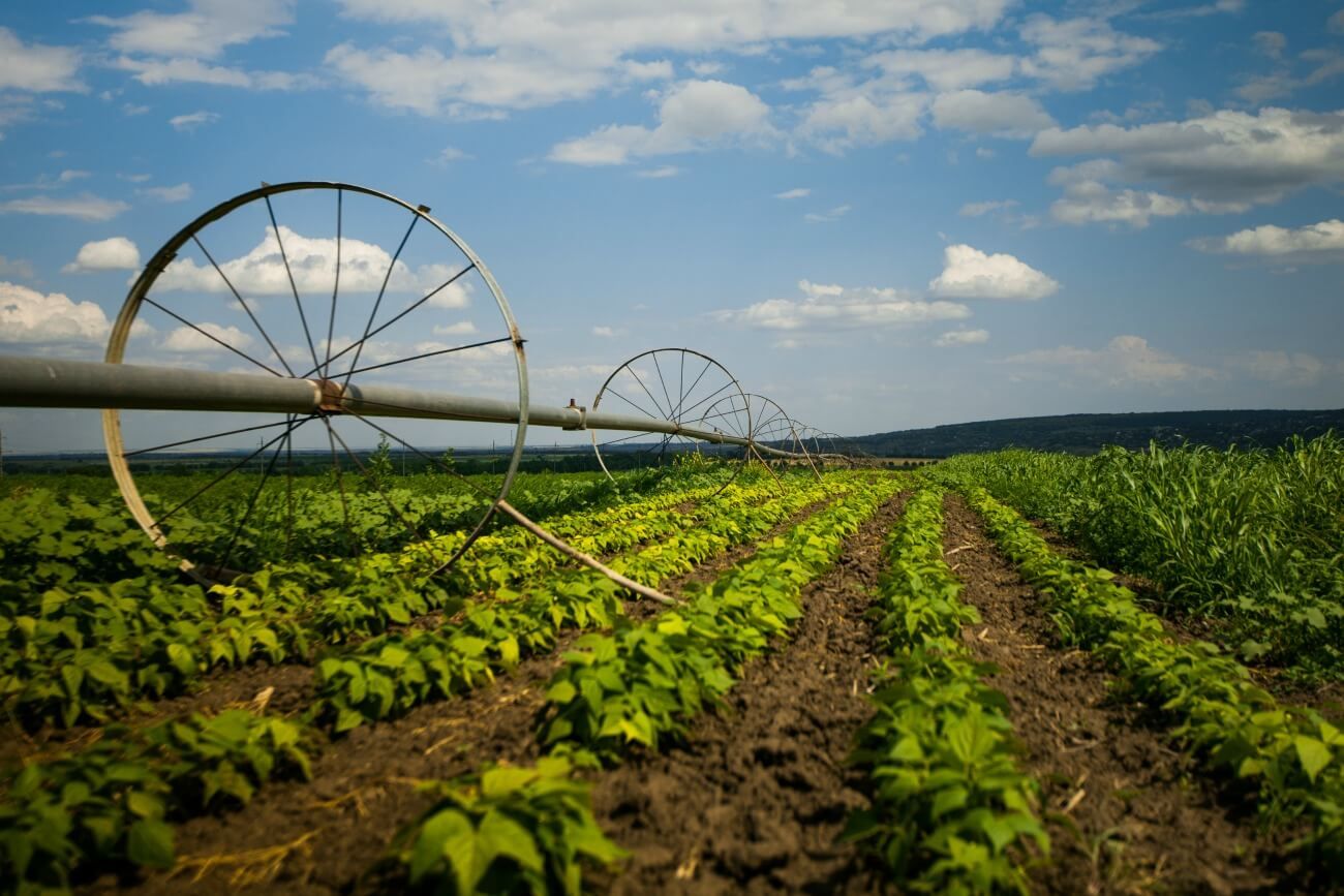 Штрафы в сельском хозяйстве Молдовы - AgroExpert.md