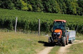 Gospodărie țărănească agricolă - AgroExpert.md