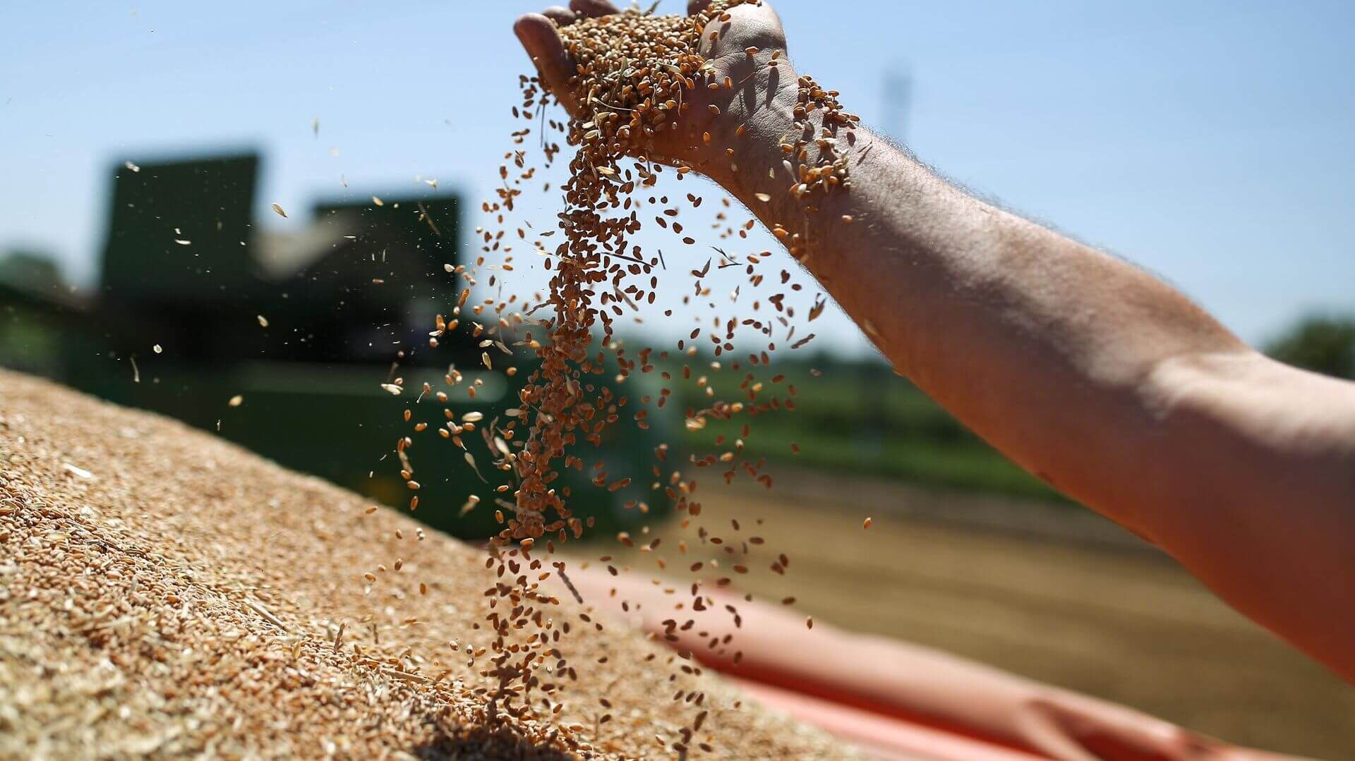 Экспорт зерна из Украины - AgroExpert.md