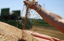 Экспорт зерна из Украины - AgroExpert.md