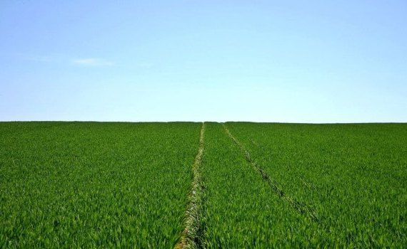 Riscuri pentru agricultura din Moldova - AgroExpert.md