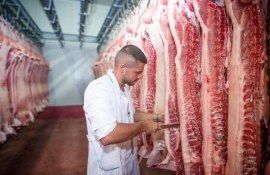 Мясная промышленность Молдовы - AgroExpert.md