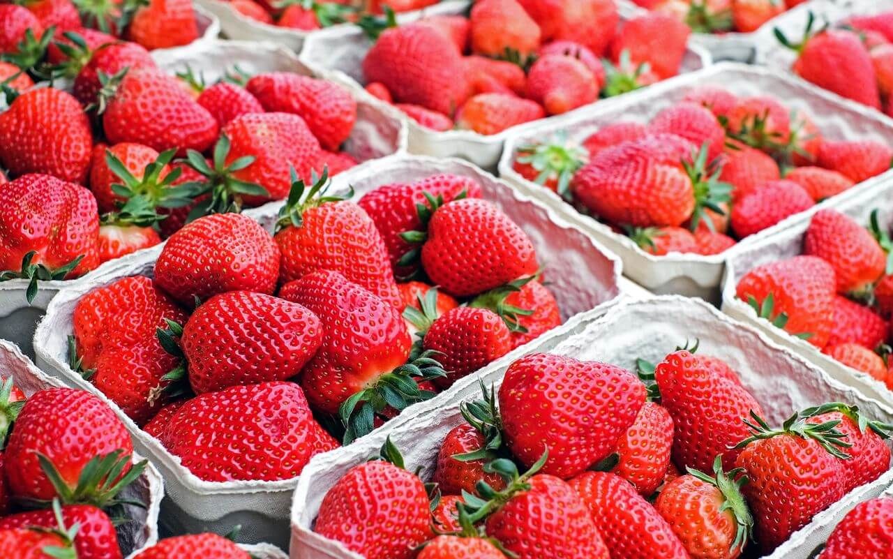 Экспорт ягод из Молдовы - AgroExpert.md