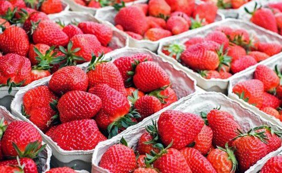 Экспорт ягод из Молдовы - AgroExpert.md