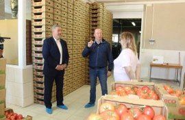 Viorel Gherciu - AgroExpert.md