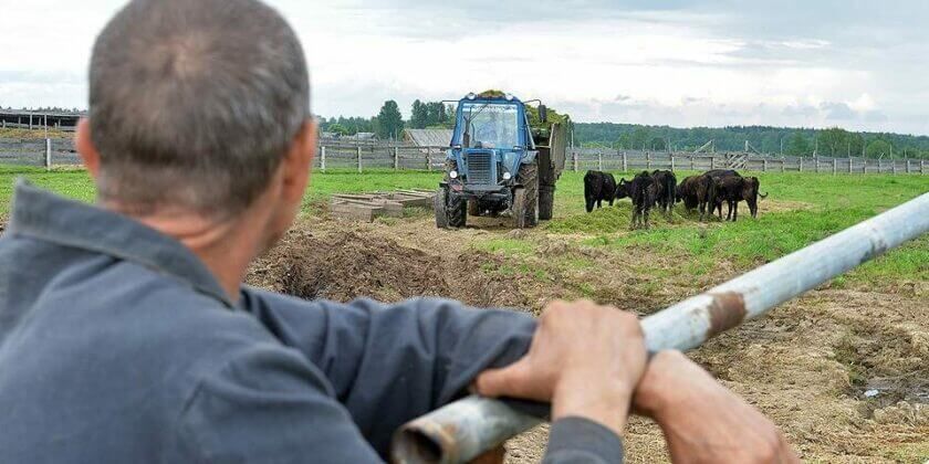 Accesul fermierilor la subvenții pentru agricultură - AgroExpert.md