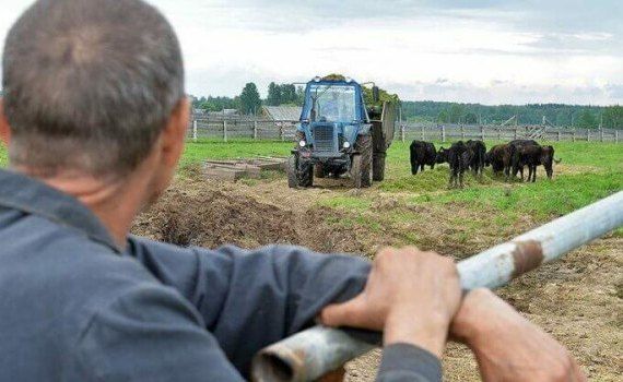 Accesul fermierilor la subvenții pentru agricultură - AgroExpert.md