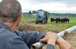 Accesul fermierilor la subvenții pentru agricultură - AgroExpert.md