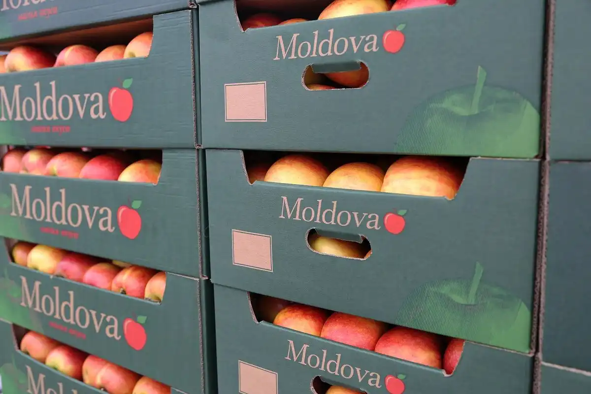 В 2021 году Молдова обеспечила почти 35% российского импорта яблок