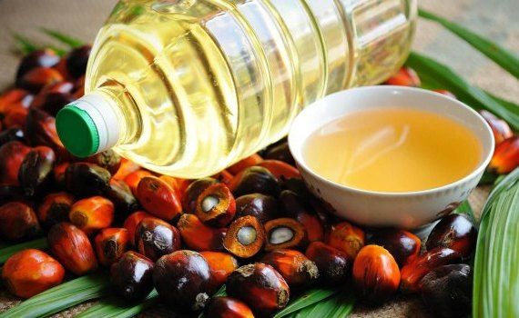 Пальмовое масло из Индонезии - AgroExpert.md