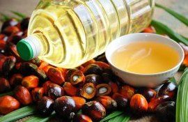 Пальмовое масло из Индонезии - AgroExpert.md