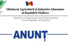 MAIA - AgroExpert.md