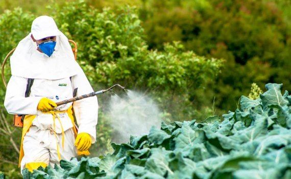 Отравление пестицидами в Молдове - AgroExpert.md