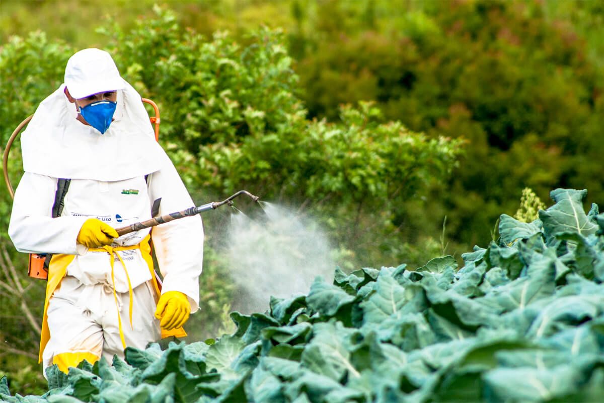 Отравление пестицидами в Молдове - AgroExpert.md