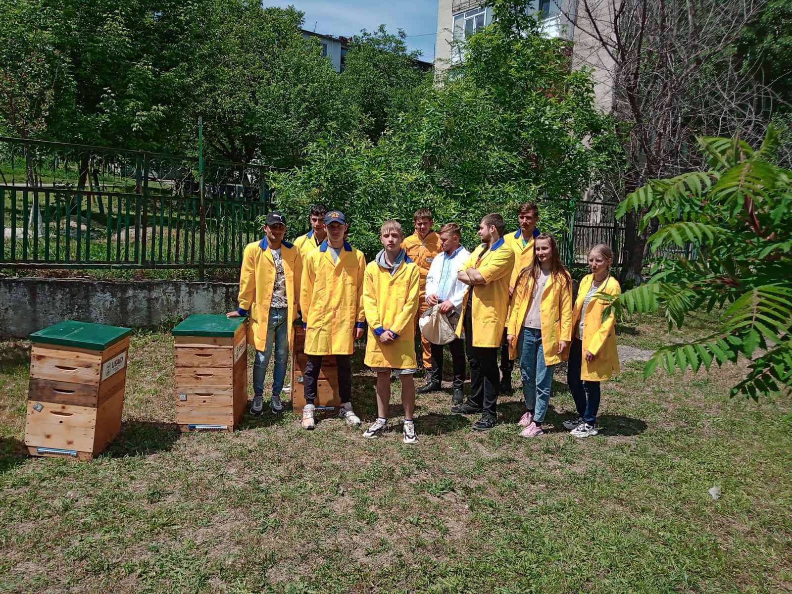 Гранты на пчеловодство в Молдове - AgroExpert.md