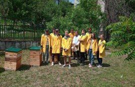 Гранты на пчеловодство в Молдове - AgroExpert.md