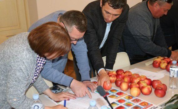 ANSA evaluarea calității fructelor și legumelor - AgroExpert.md