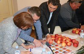 ANSA evaluarea calității fructelor și legumelor - AgroExpert.md