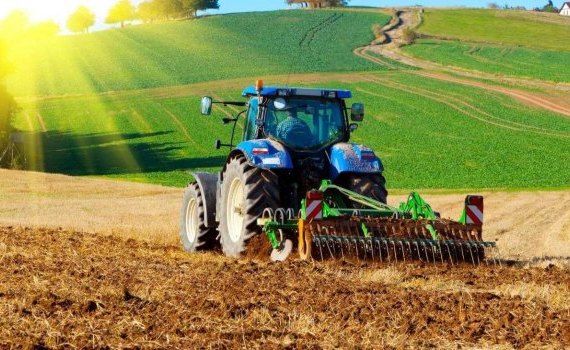 producție agricultură recoltă - AgroExpert.md