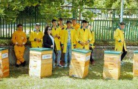 apicultori stipu Bubuieci - AgroExpert.md